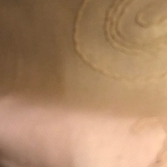 Meet your Posher, Morgan - Picture 1 of 1